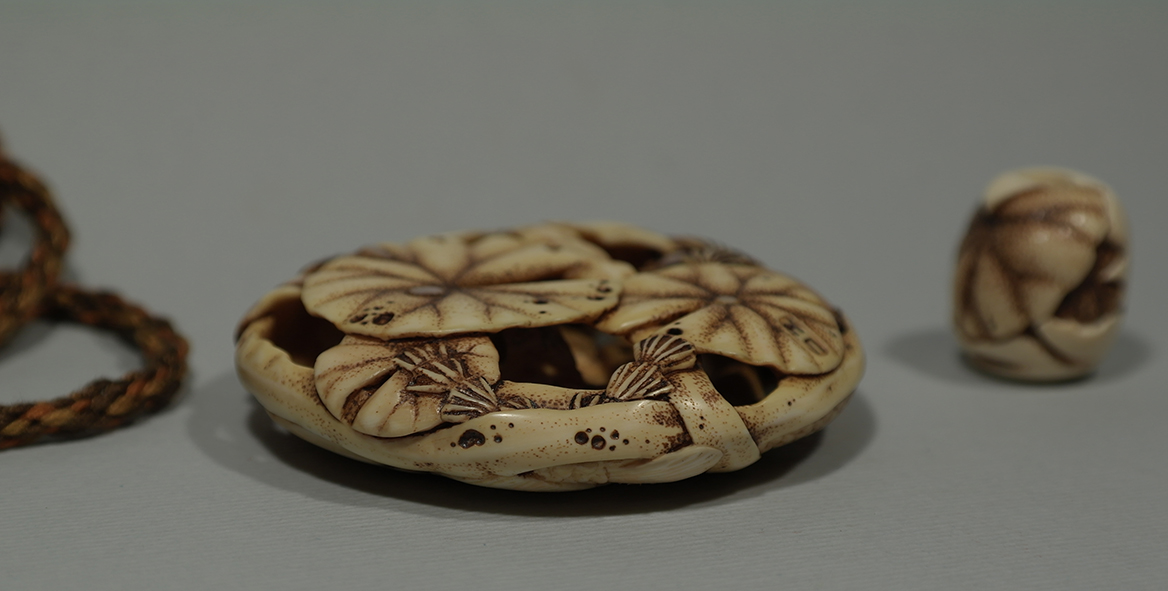 Carp under the lotus leaves 9